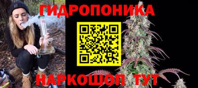 ECSTASY Боровичи