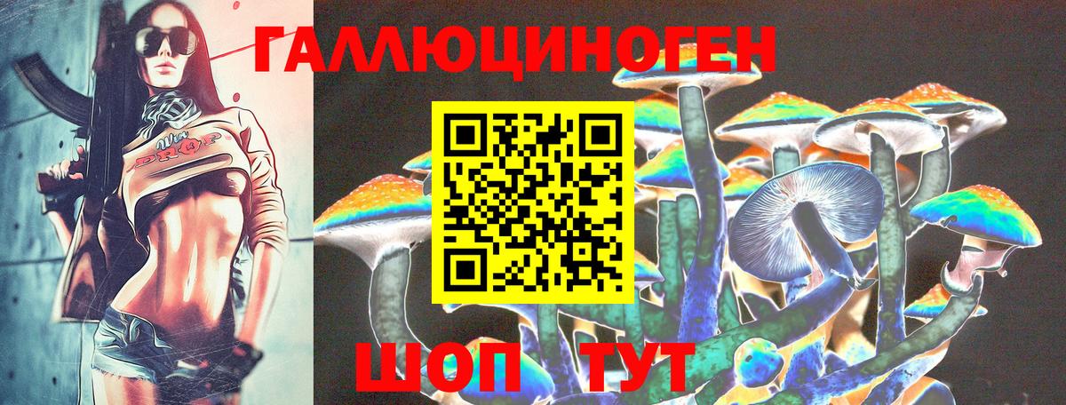 Галлюциногенные грибы Psilocybine cubensis  сколько стоит  Вход с VPN  Зеленодольск  Псилоцибиновые грибы мухоморы 