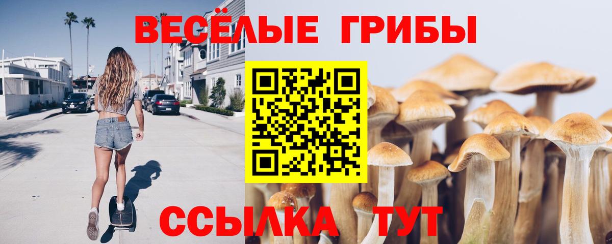 Псилоцибиновые грибы Magic Shrooms Зеленодольск